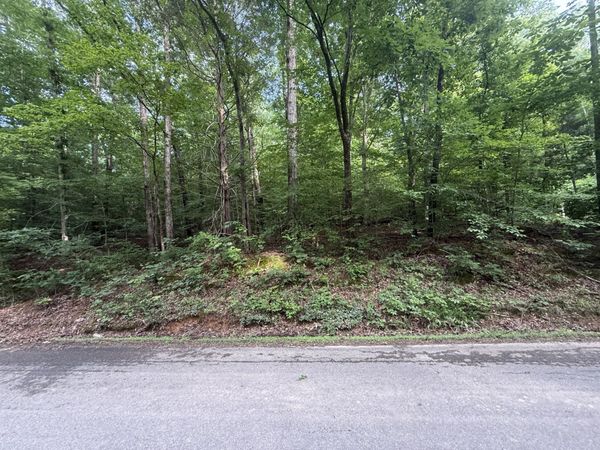 0 Caney Branch Rd , Unit 23, Stewart, TN 37175