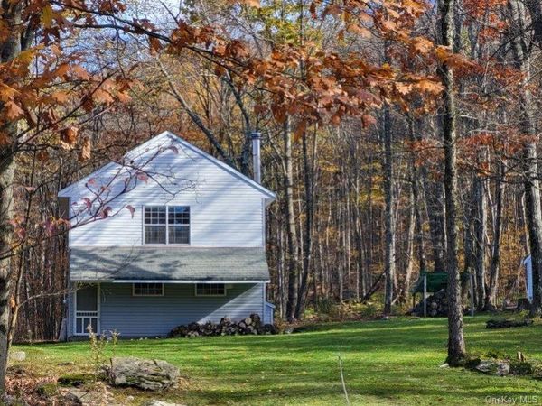 1756 Fuller Hill Road , Downsville, NY 13755