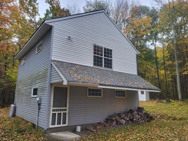 1756 Fuller Hill Road , Downsville, NY 13755