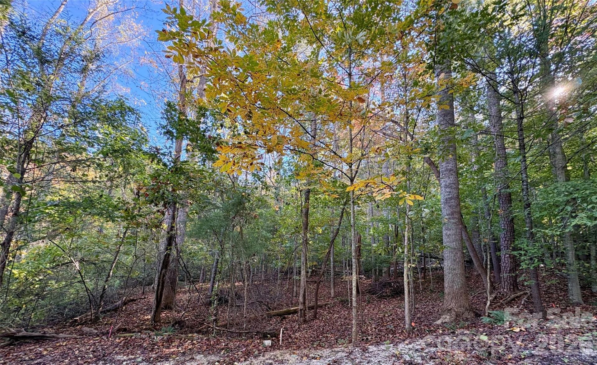 00 Forsythia Hedge Drive, Fletcher, NC 28732 Main Photo