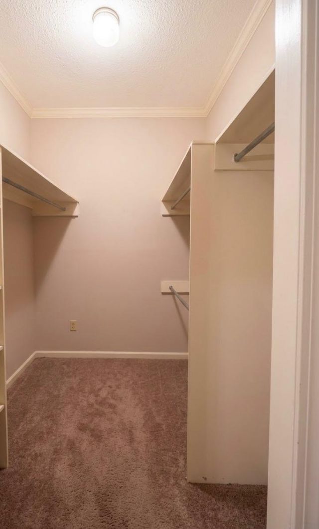 1083 Roquemore Drive Photo 14