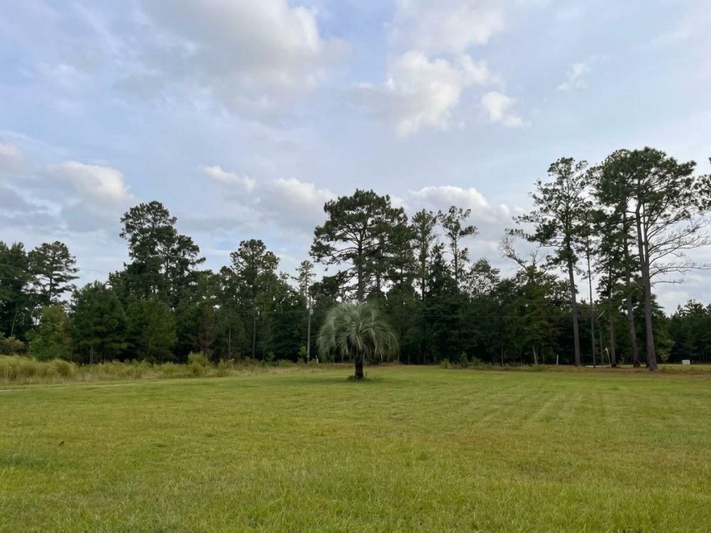 1083 Roquemore Drive Photo 4