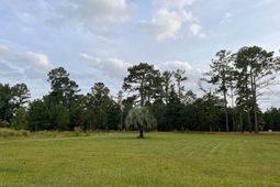 1083 Roquemore Drive photo 4