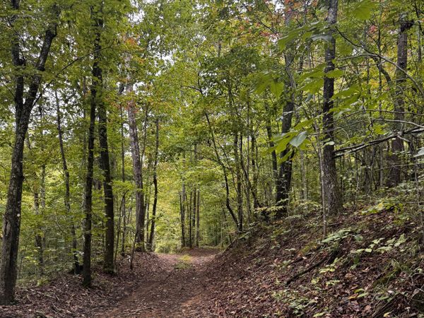 Decatur Hwy, Kingston, TN 37763