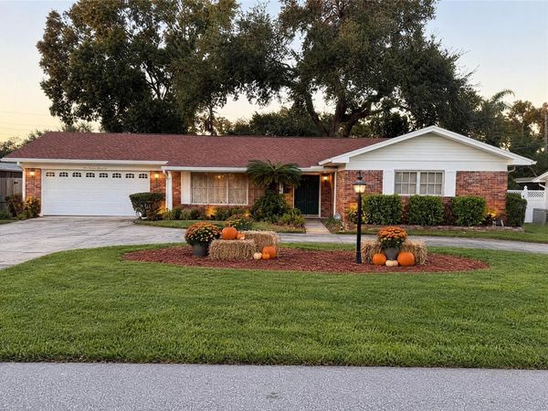 925 W CIMMERON DRIVE , TAMPA, FL 33603