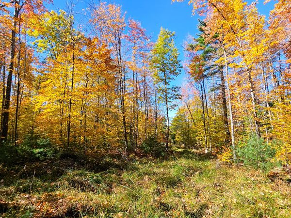 M13 L55 Holman Road , Peru, ME 04290