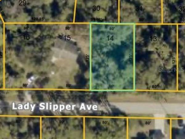 LADY SLIPPER AVENUE , NORTH PORT, FL 34291