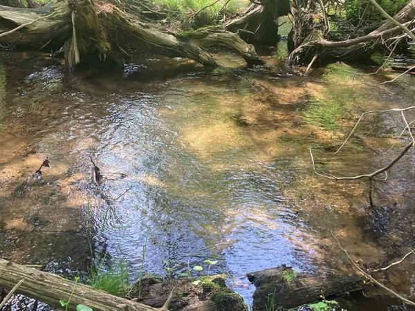 Lot 6 Trosko Rd, Kalkaska, MI 49676