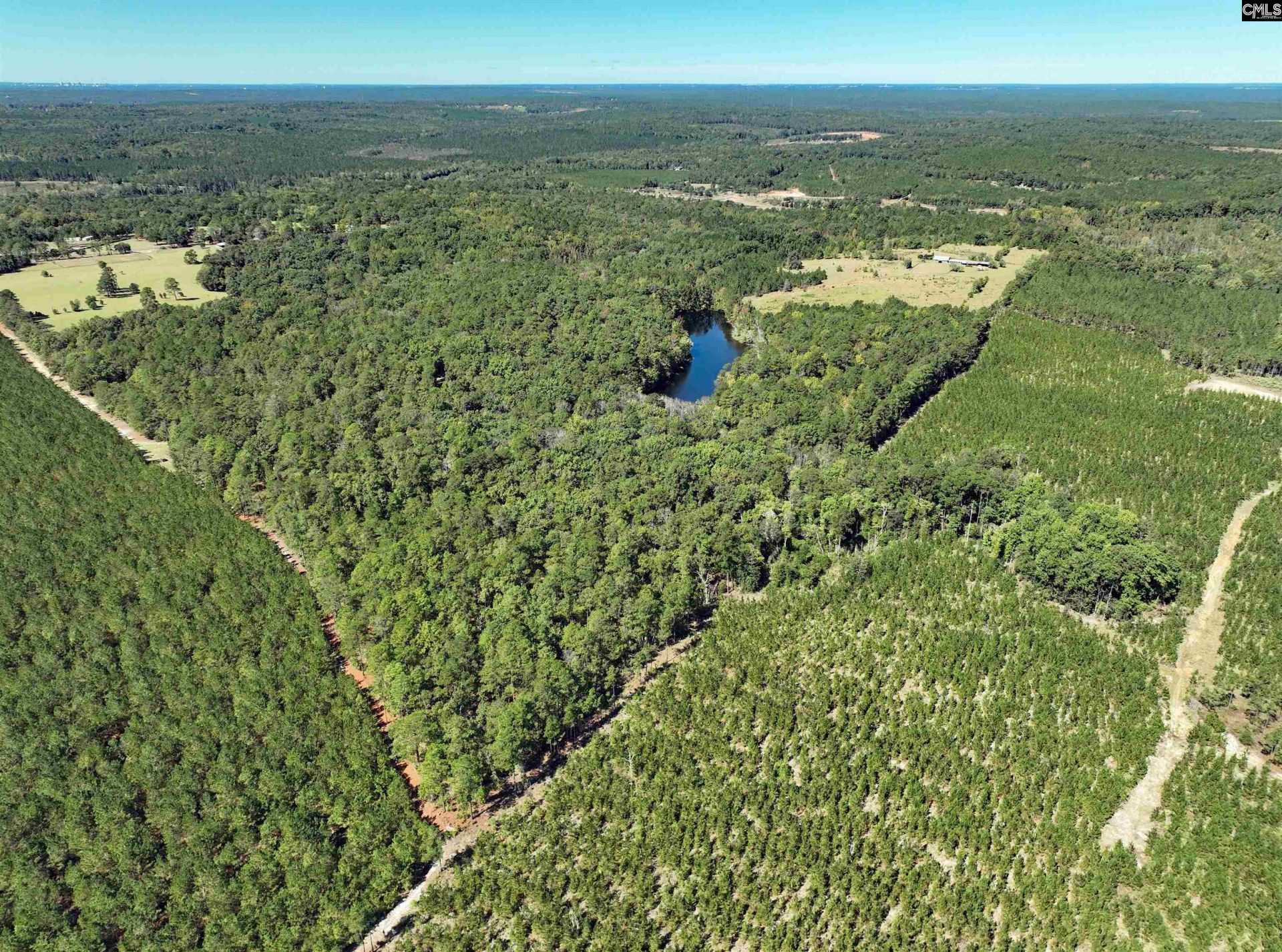801 Piney Branch Road Photo 12