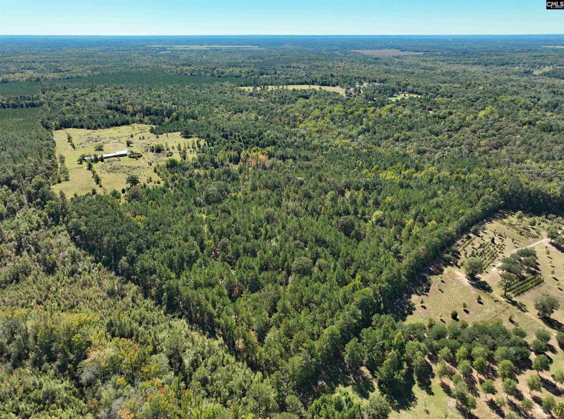 801 Piney Branch Road Photo 15