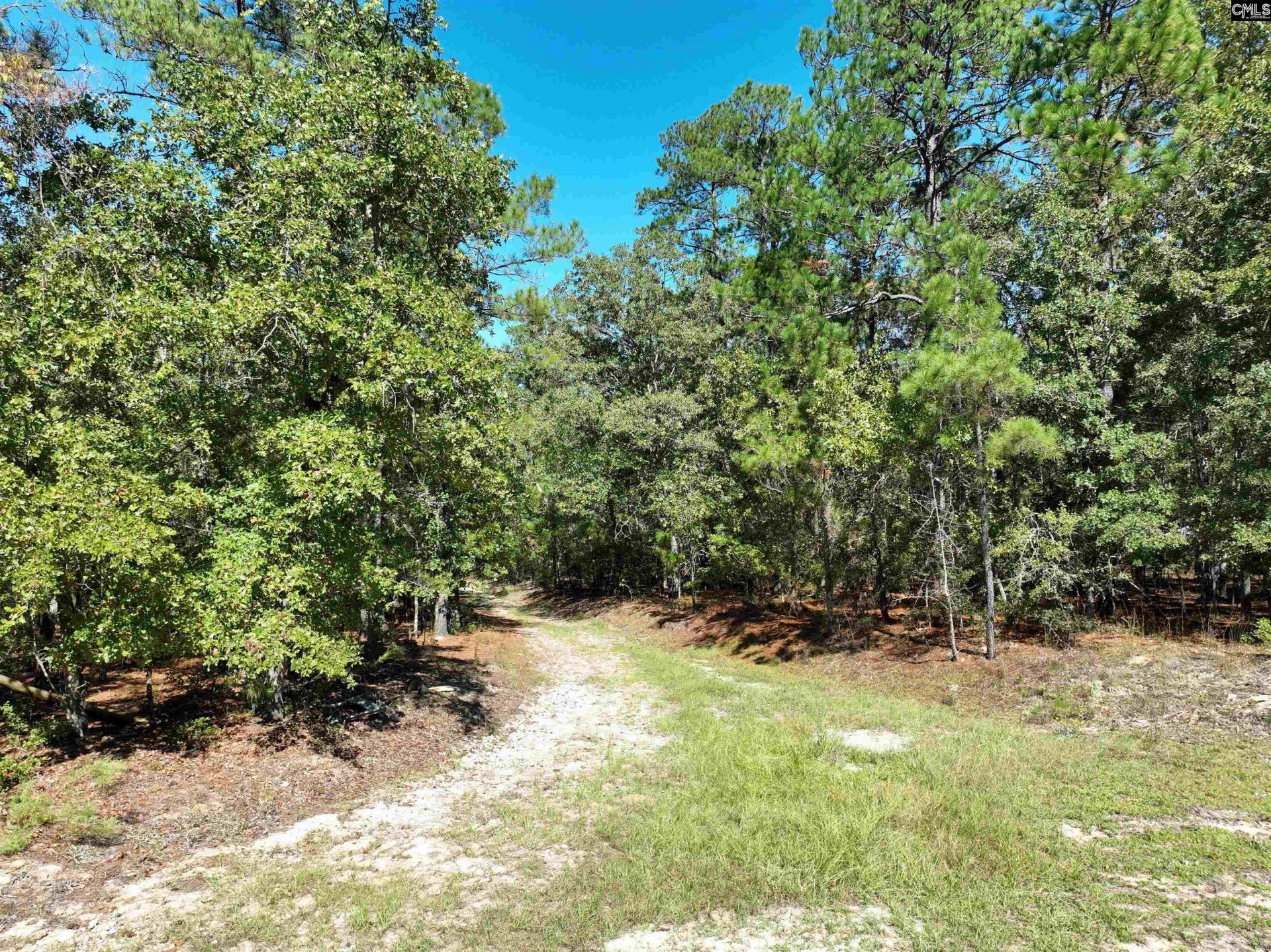 801 Piney Branch Road Photo 19