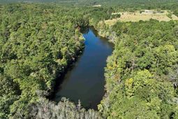 801 Piney Branch Road photo 4