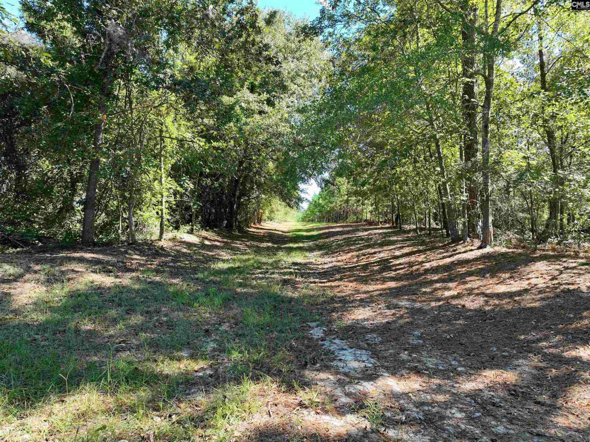 801 Piney Branch Road Photo 20