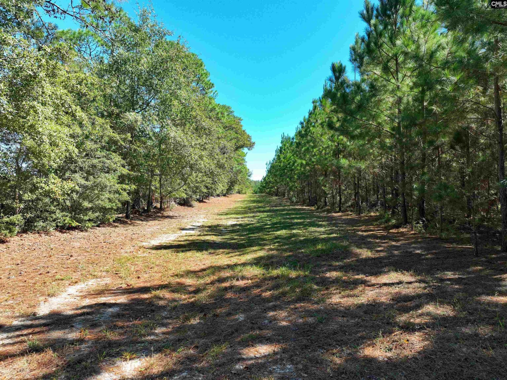 801 Piney Branch Road Photo 21