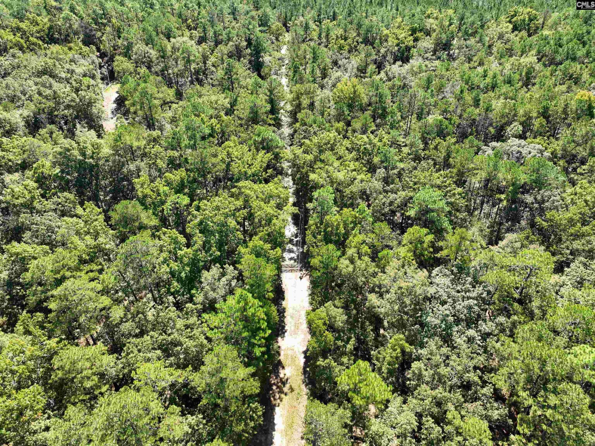 801 Piney Branch Road Photo 22