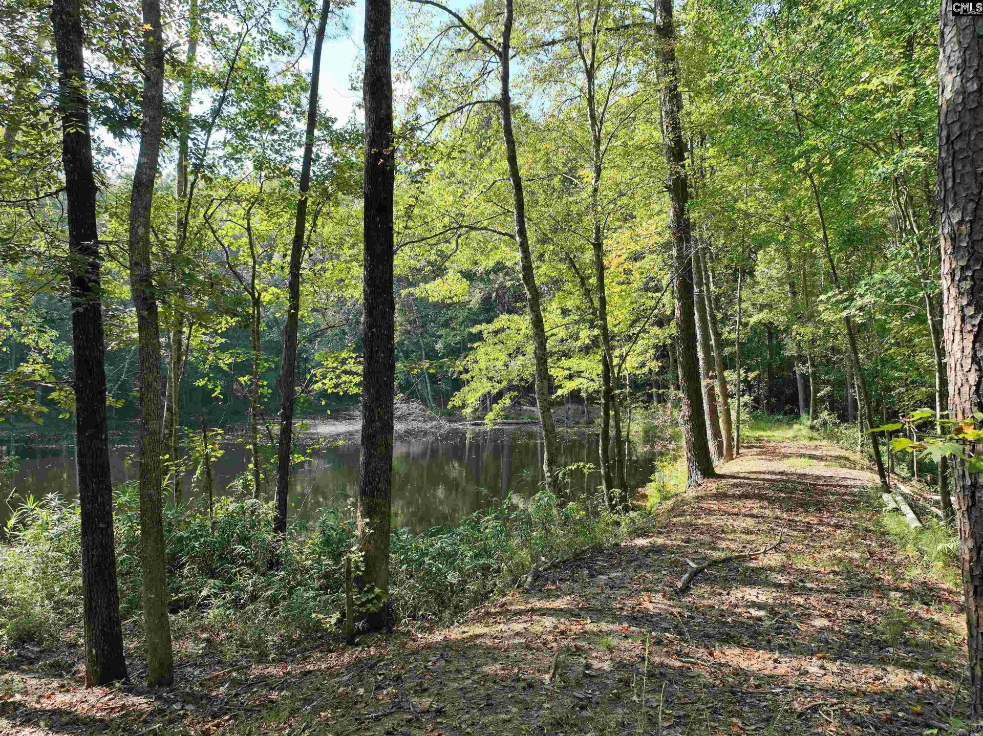 801 Piney Branch Road Photo 48