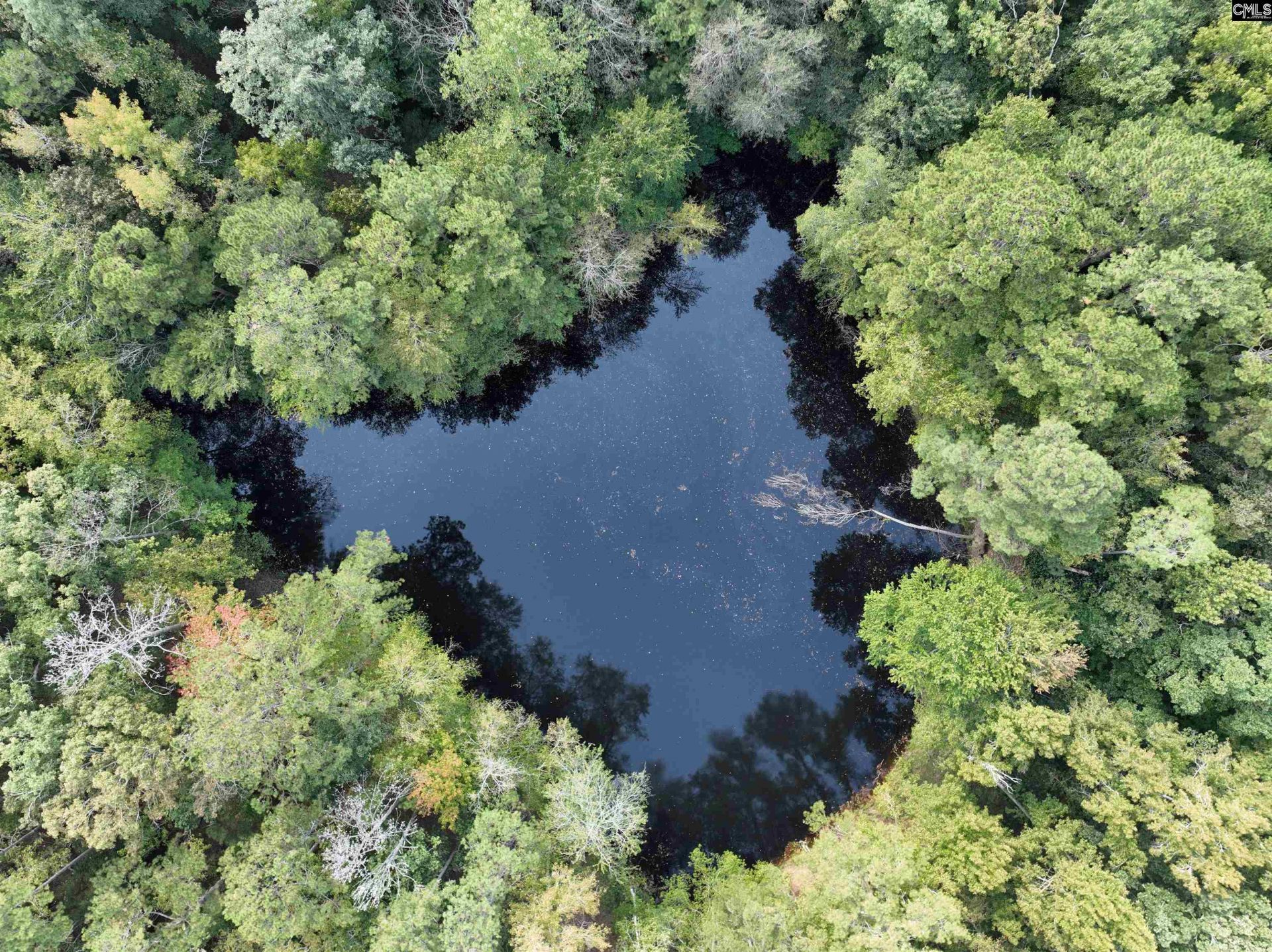 801 Piney Branch Road Photo 49