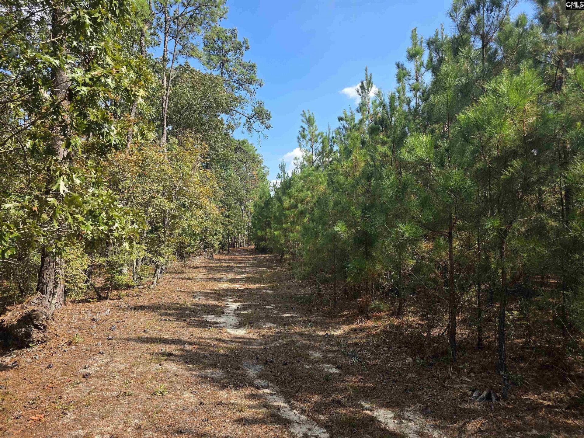 801 Piney Branch Road Photo 53