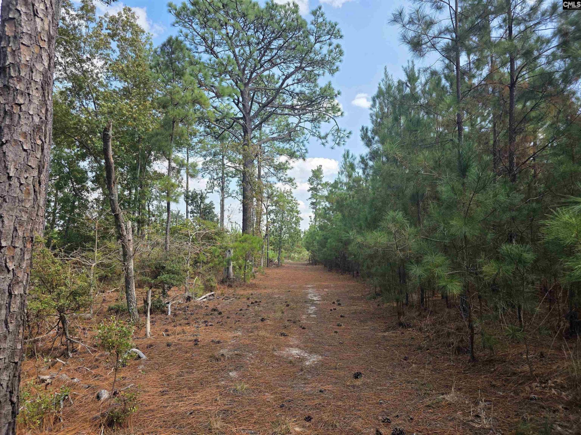 801 Piney Branch Road Photo 54