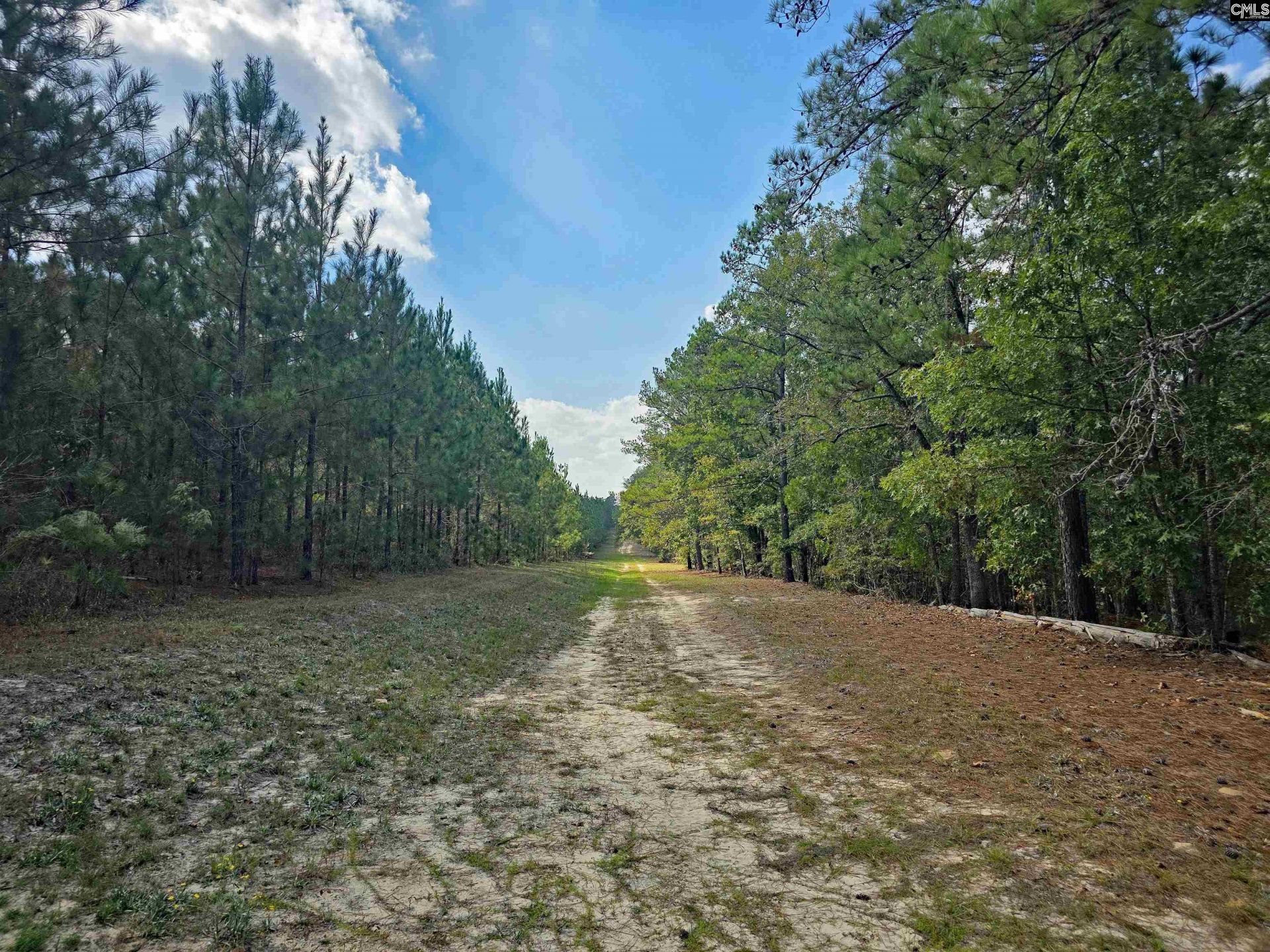 801 Piney Branch Road Photo 55