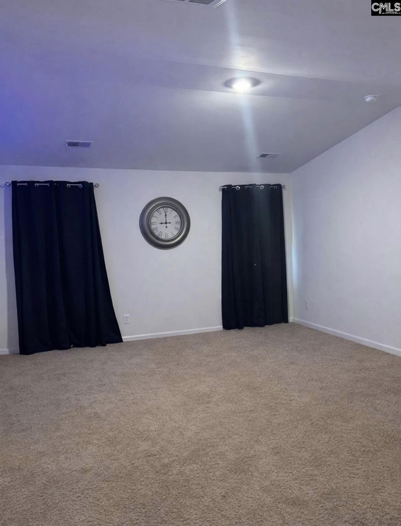 419 Dorney Road  Photo 5