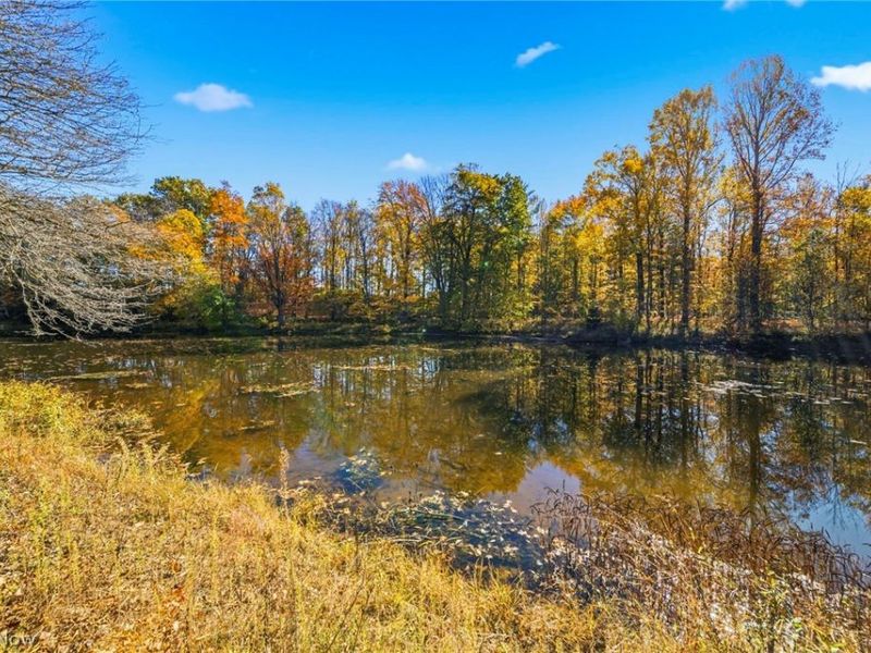 1076 Garrett Road, Jefferson, OH 44047 Photo 38