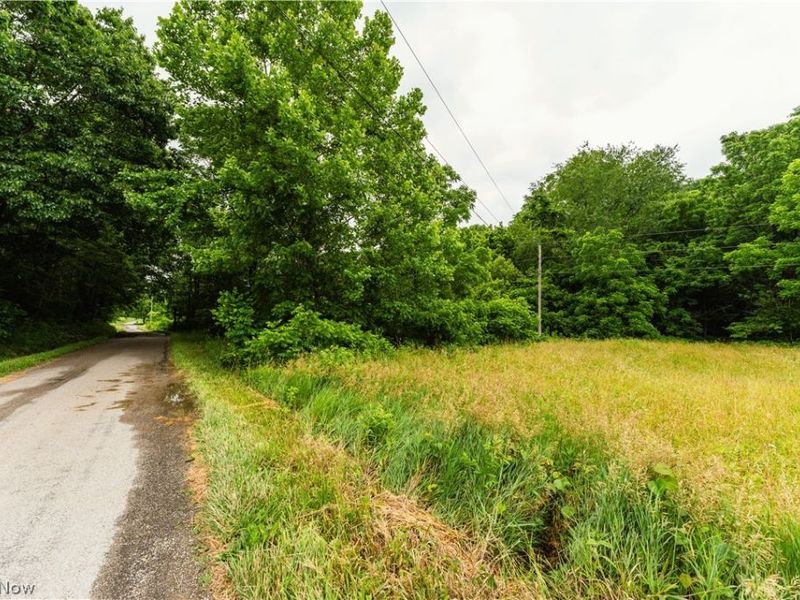 Long Road, Chandlersville, OH 43727 Photo 6