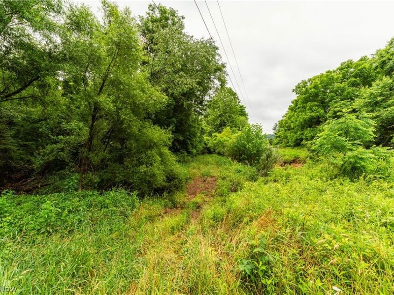 Long Road, Chandlersville, OH 43727 Photo 9