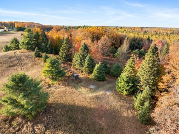 7726 Reed Road, Levering, MI 49755