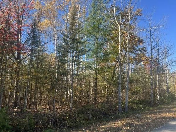 Lot 177 Wilderness Drive, Presque Isle, MI 49777
