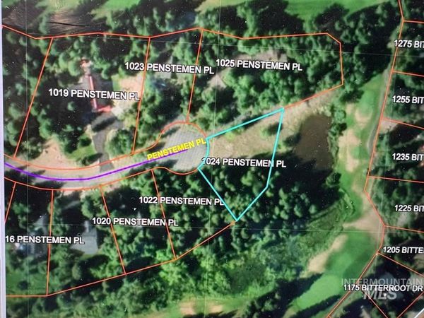1024 Penstemen Pl, McCall, ID 83638