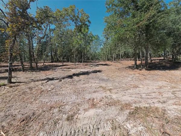 NE 16TH PLACE , WILLISTON, FL 32696