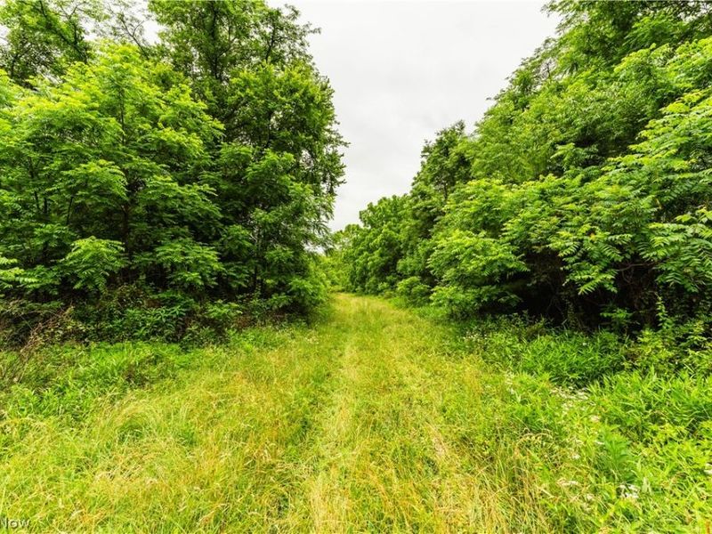 Long Road, Chandlersville, OH 43727 Photo 12