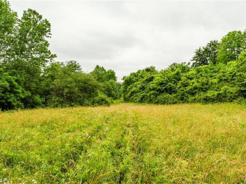 Long Road, Chandlersville, OH 43727 Photo 7