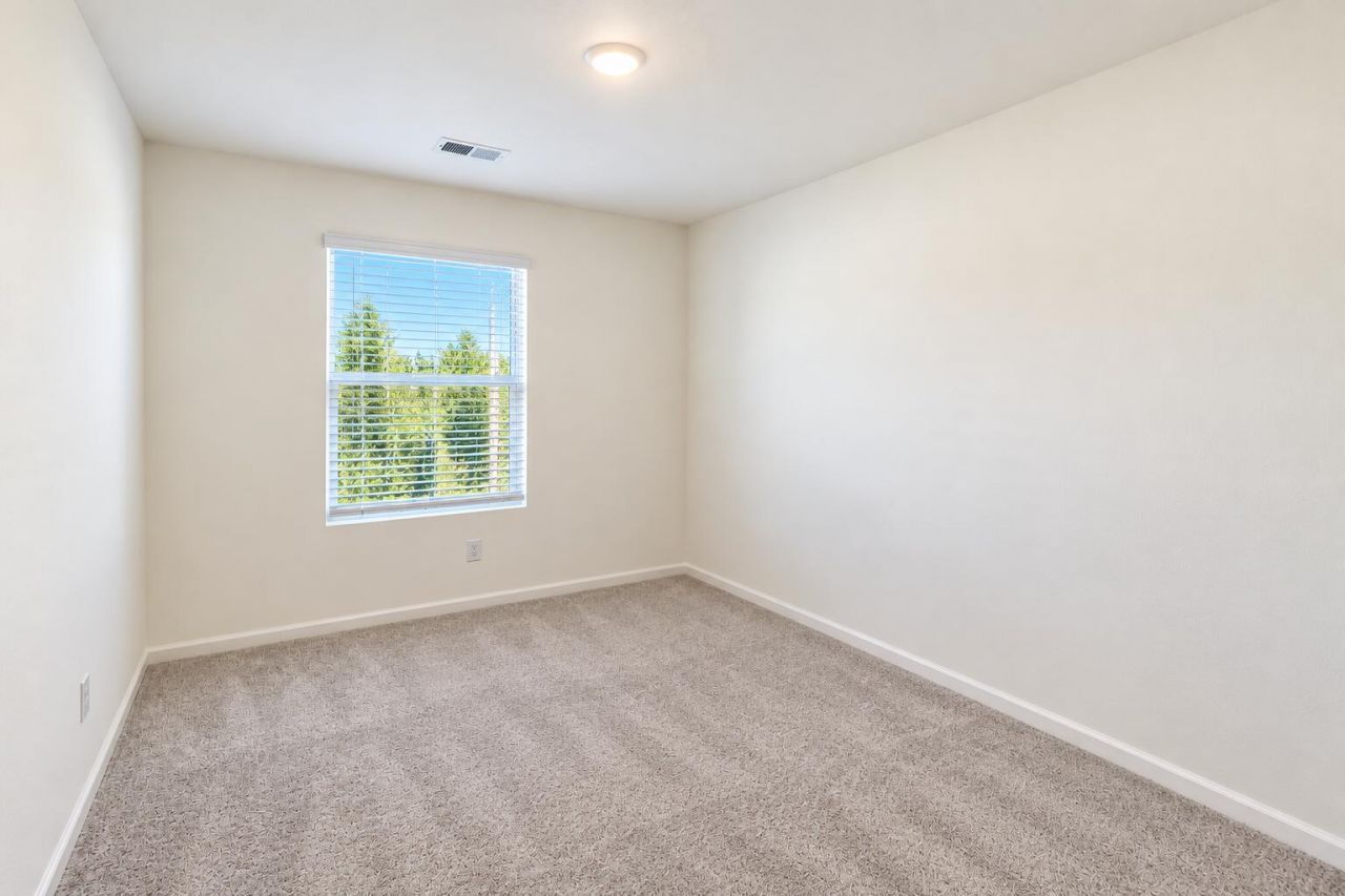 507 Scarlett Maple Street Photo 12
