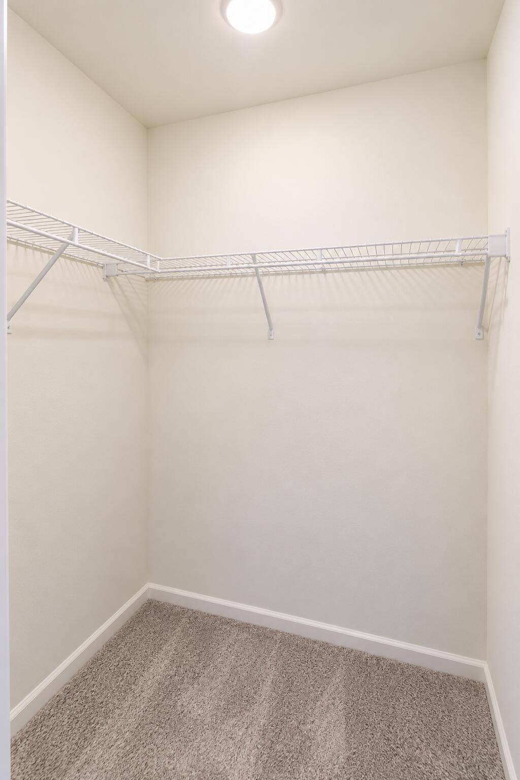 507 Scarlett Maple Street Photo 16