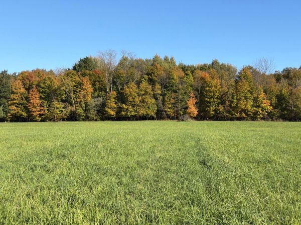 0 Mcpeck Road , Richwood, OH 43344