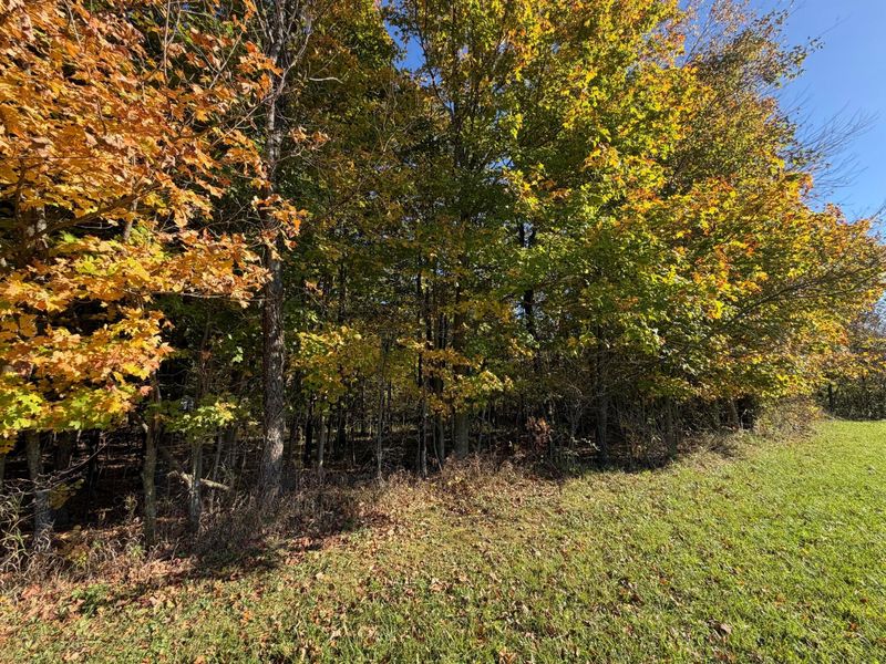 0 Mcpeck Road , Richwood, OH 43344 Photo 7