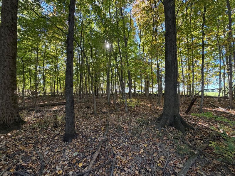 0 Mcpeck Road , Richwood, OH 43344 Photo 8