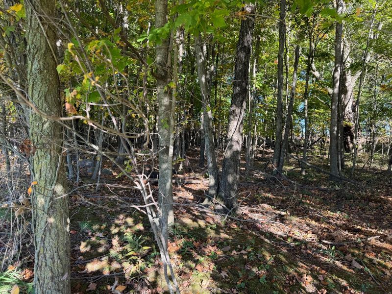 0 Mcpeck Road , Richwood, OH 43344 Photo 9