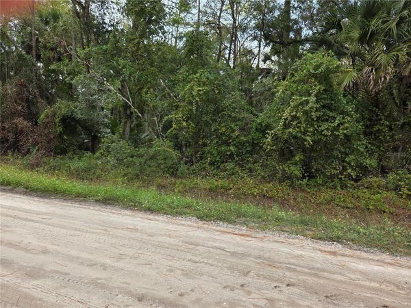 2096 ORANGE STREET , BUNNELL, FL 32110