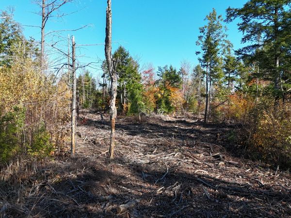 Lot 5 Long pine Road , Woodville, ME 04457
