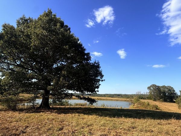 0 Essary Rd , Wildersville, TN 38388