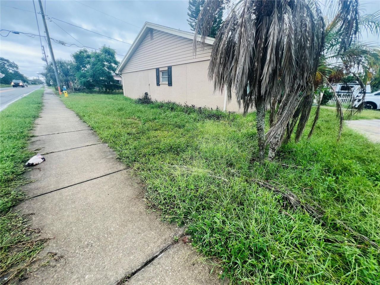 3448 Springfield Drive , Holiday, FL 34691 Photo