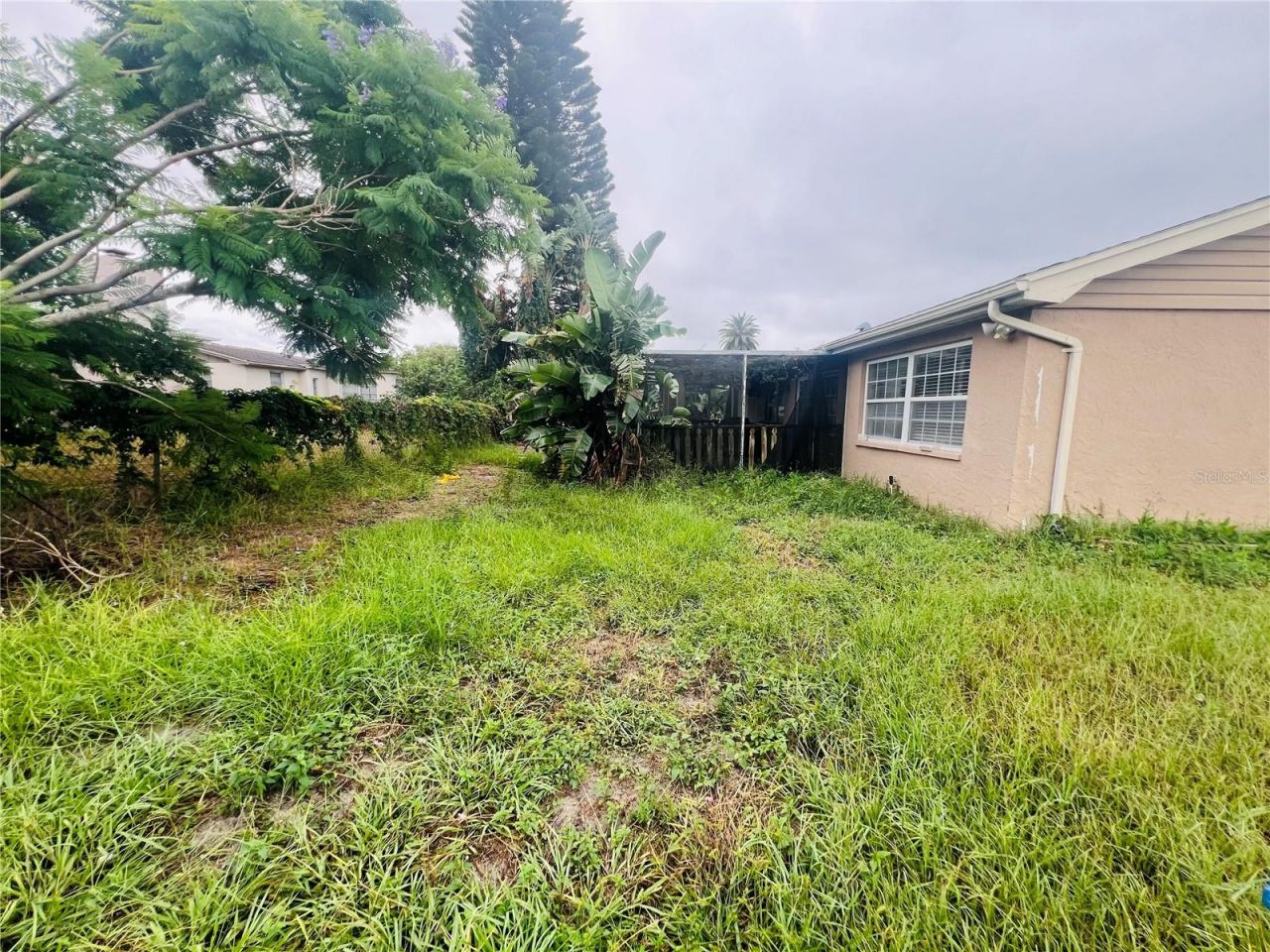 3448 Springfield Drive , Holiday, FL 34691 Photo