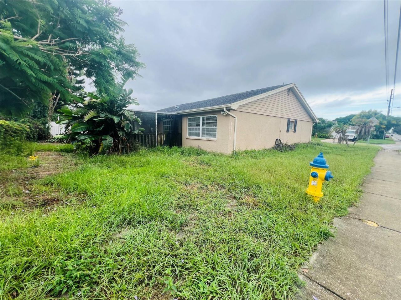 3448 Springfield Drive , Holiday, FL 34691 Photo