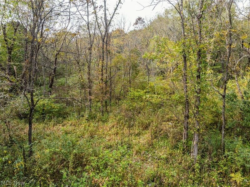 State Rt 204, Mount Perry, OH 43760 Photo 3