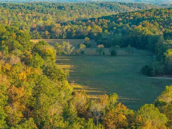 57 Wayne 352 , Piedmont, MO 63957