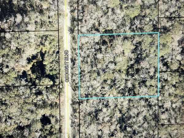 1817 Coconut Blvd, Bunnell, FL 32110