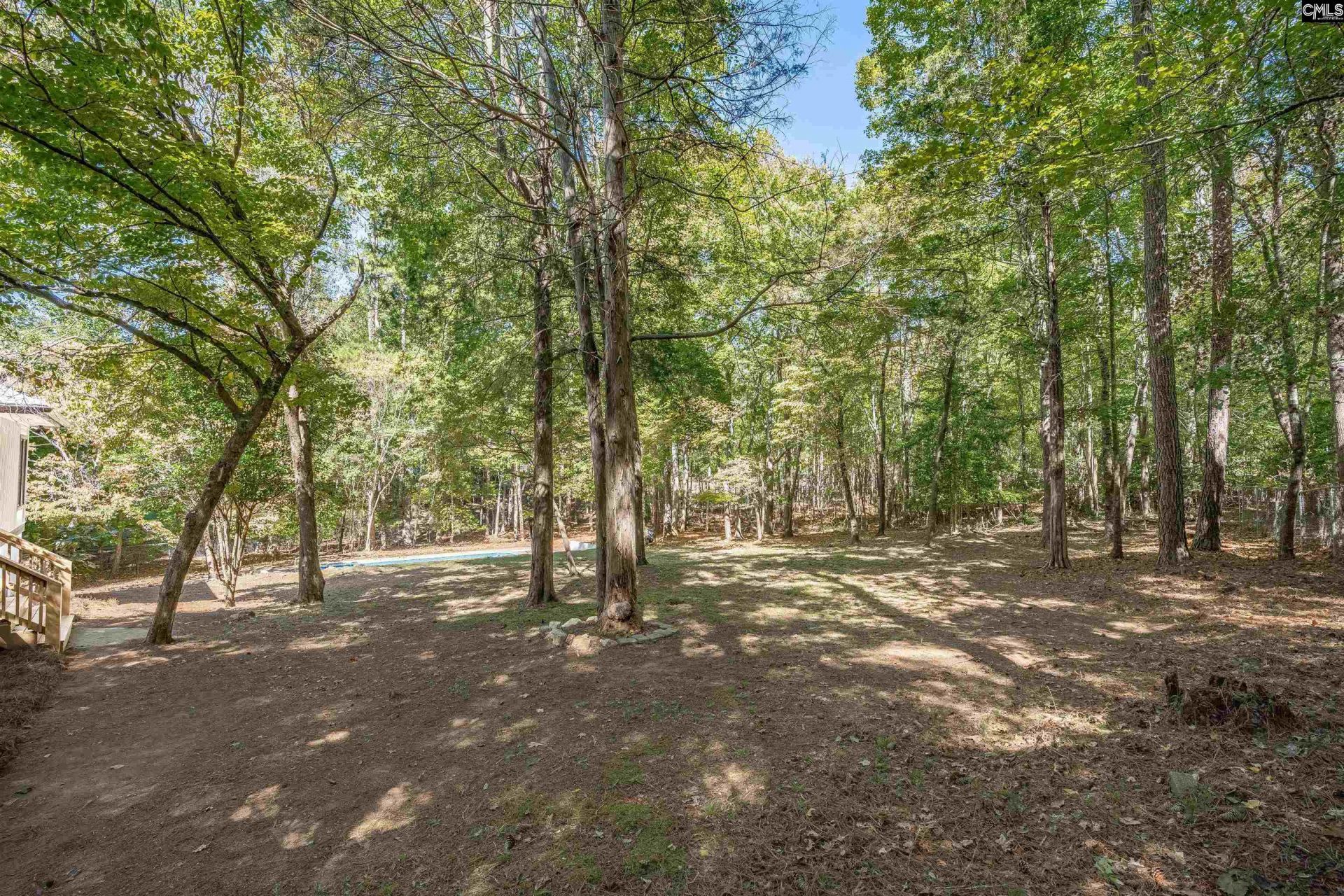 105 Deer Tract Drive  Photo 46